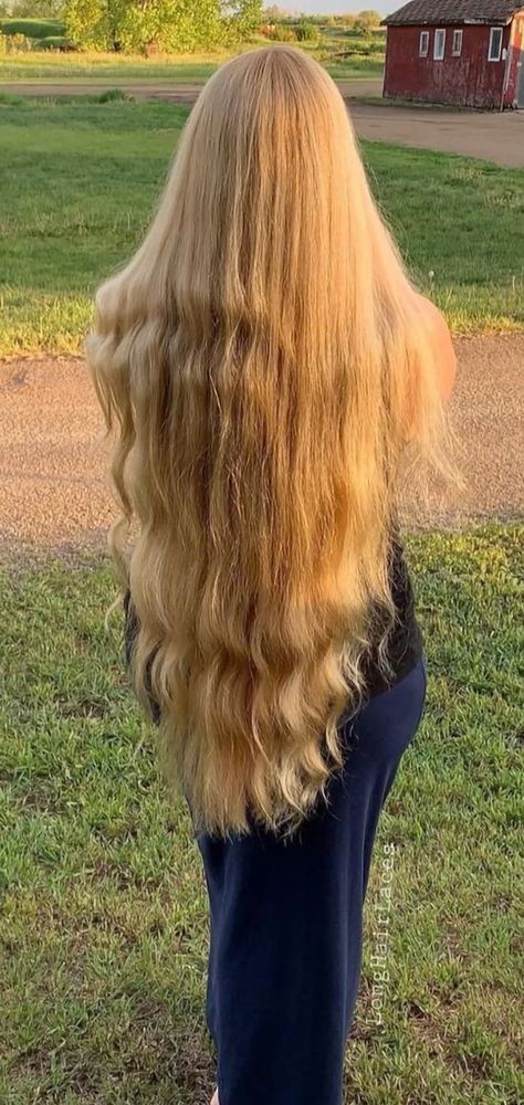 V Cut Hairstyle, V Cut Hair, Long Beautiful Hair, V Shape Hair, Extremely Long Hair, Light Blonde Hair, Really Long Hair, Hair Girls, European Hair