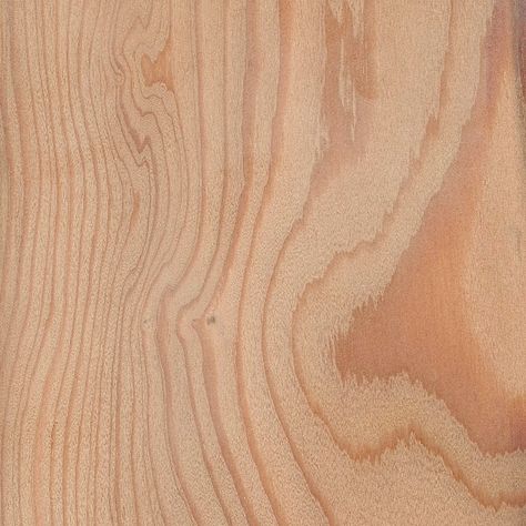 European Larch | The Wood Database - Lumber Identification (Softwood) Larix Decidua, Toilet Remodel, Diy Hummingbird Feeder, Small Rv, Larch Wood, Wood Sample, White Kitchen Design, Exterior Cladding, Country Furniture