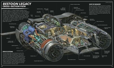 Star Wars Infographic, Star Wars Ships Design, Fantasy Flight Games, Spaceship Interior, Visual Dictionary, Star Wars Spaceships, Star Wars Background, Starship Concept, Ship Design