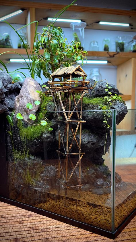 Fishbowl Terrarium Ideas, Long Shallow Aquarium, Tropical Plant Terrarium, Large Terrarium Ideas Unique, Terrarium Ideas For Reptiles, Japanese Terrarium, Home Aquarium Aesthetic, Aquascape Diy, Paludarium Ideas