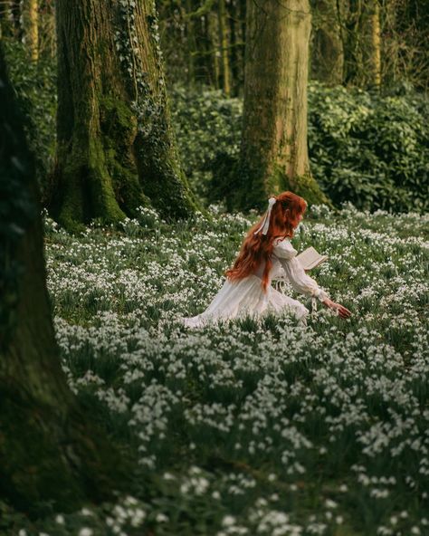 Ethereal Photography, Fairytale Photoshoot, Fairy Photoshoot, Fairytale Aesthetic, Cold Time, Dreamy Photography, Fantasy Forest, Fantasy Photography, Cottagecore Aesthetic