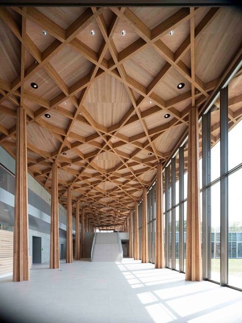 Toyota City Museum - Shigeru Ban Shigeru Ban, Bamboo Structure, Wooden Architecture, City Museum, Design Competitions, Sustainable Architecture, Shop Interior Design, Shop Interior, East Side