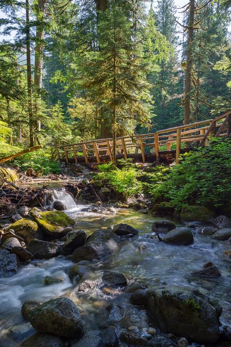 Deception Falls Washington, Stevens Pass Washington, Washington State Aesthetic, Oregon Hiking Trails, West Coast Aesthetic, Travel Itinerary Planner, Oregon Hikes, Road Trip Map, Itinerary Planner