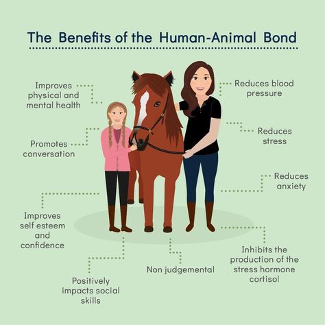 Animal Assisted Therapy, Equine Therapy, About Business, Therapy Dogs, Business Plan Template, Plan Template, Best Templates, Business Plan, Physical Health