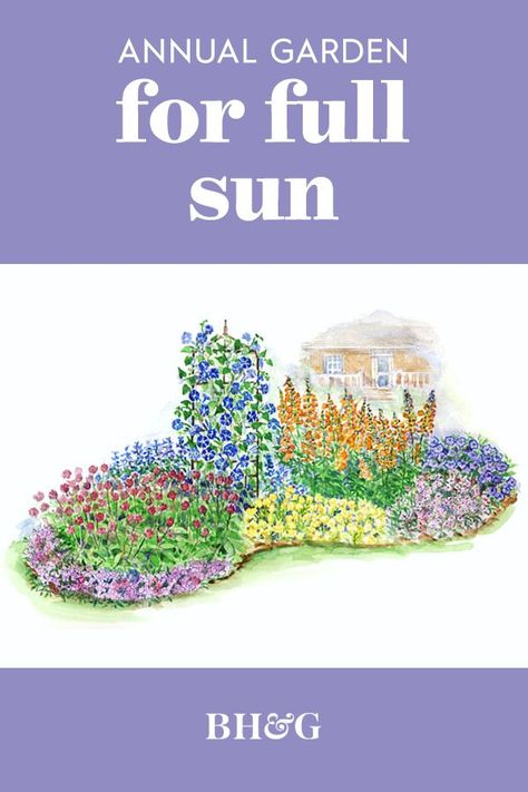 Full Sun Garden, Bed Of Flowers, Flower Garden Plans, Annual Garden, American Indian History, Garden Plan, Zone 9, Sun Garden, Gardening 101