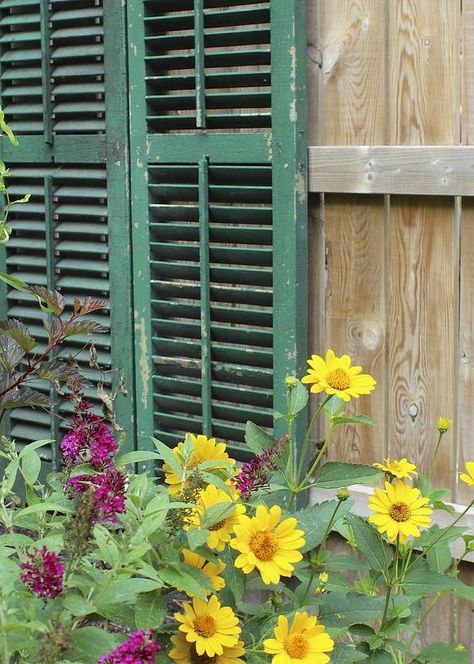 using old shutters in the garden, gardening, landscape, repurposing upcycling, It gives this new fence a bit of history and whimsy Antique Shutters, Diy Garden Design, Outdoor Garden Art, Farmhouse Shutters, Shutter Ideas, Farmgirl Flowers, Plastic Shutters, Fence Planters, Garden Globes