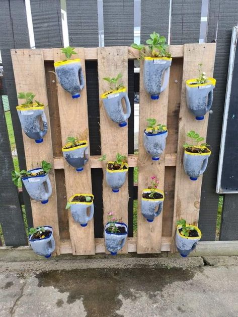 Childcare Garden Ideas, Childcare Sustainability Ideas, Sustainability Activities Eyfs, Garden Eyfs Ideas, Outside Preschool Environment, Ecology For Preschool, Kindergarten Garden Ideas, Sustainability In Childcare Activities, Sustainability Activities For Preschool