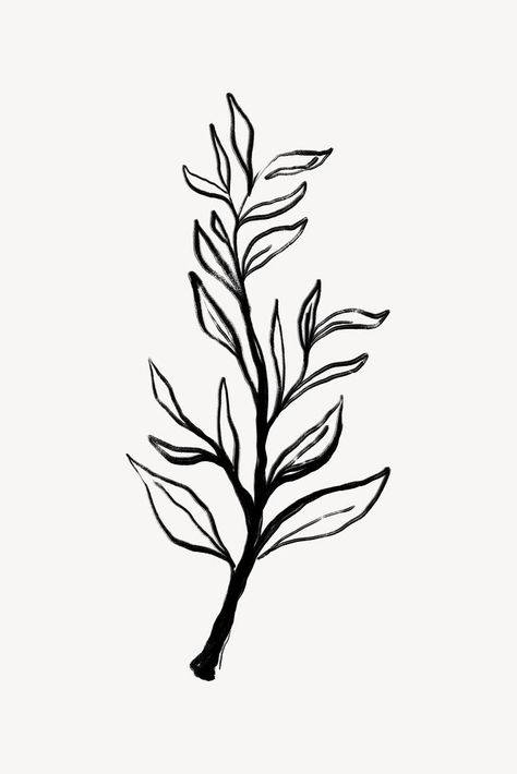 Leaf line art, Chinese brush design | free image by rawpixel.com / Sasi Leaf Line Art, Tree Black And White, Brush Design, Leaf Illustration, Drum Head, Brush Tree, Chinese Brush, Leaf Images, Old Tattoos