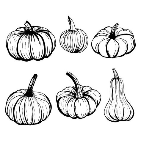 Outline Sketches, Pumpkin Sketch, Fall Gourds, Pumpkin Outline, Pumpkin Drawing, House Plans With Pictures, Pumpkin Illustration, Spooky Tattoos, Object Drawing