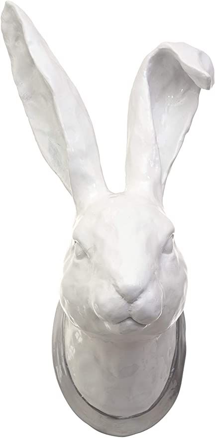 kieragrace St. Germain Olivier Resin Wall Décor – Hare Head, White Gloss: Amazon.ca: Home & Kitchen Animal Head Wall Decor, Starburst Wall Decor, Medallion Wall Decor, Rabbit Head, Decorative Wall Panels, St Germain, Elephant Head, Animal Heads, Geometric Wall