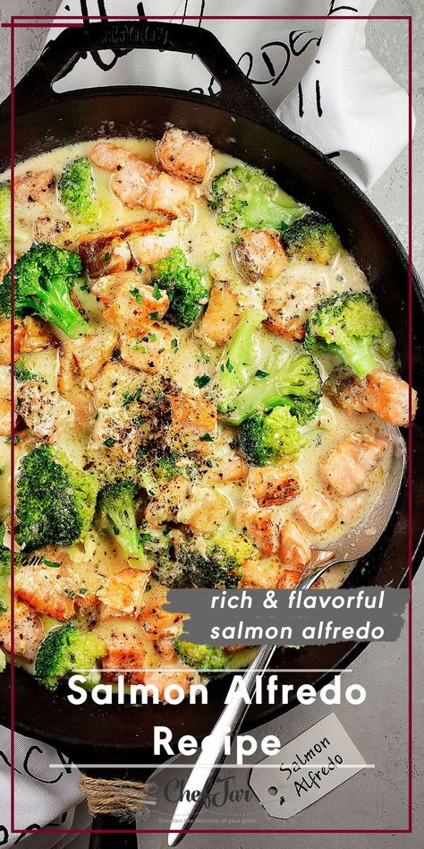 Salmon Alfredo Recipes, Salmon Lasagna Recipe, Alfredo Salmon, Healthy Recipes With Canned Salmon, Salmon Shrimp Alfredo, Shrimp And Salmon Alfredo, Salmon With Alfredo Sauce, Alfredo With Salmon, Salmon And Alfredo Pasta