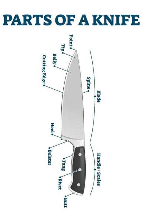 Need to know the parts of a knife? Here is knife anatomy with knife diagram pictures so you know all the parts of a knife and what each does. Different Types Of Knives, How To Use A Knife, Knife Making For Beginners, Knife Skills Tutorials, Knife Anatomy, Knife Types, Kitchen Utensils List, Knife Knowledge, Culinary Lessons