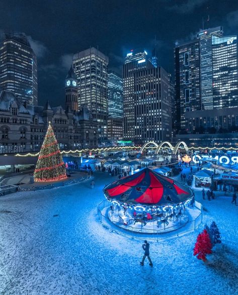 #Toronto in the #winter Immersive Installation, Thing 1 And Thing 2, Canada Christmas, Toronto Photos, Portland Travel, Canada Holiday, Holiday Room, Fort Myers Beach, Cosy Christmas