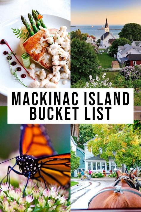 Island Bucket List, Summer Michigan, Michigan Fall, Mackinac Island Michigan, Michigan Road Trip, Usa Destinations, Michigan Vacations, Mackinac Bridge, Midwest Travel