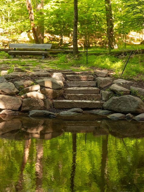 River House — Bromley Landscape Design River Side Landscape, River Side, River Edge, River House, Site Design, Landscape Design, Dream House, Patio, Water