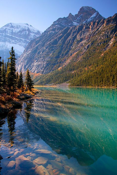 https://flic.kr/p/4kp3PU | C6CT8792 | Mt. Edith Cavell and Cavell Lake, Jasper National Park, Alberta, Canada.  Thanks,  Ron Niebrugge Niebrugge Images - stock photos  My Photo Blog Jasper National Park Canada, Canada Tourism, Jasper Alberta, Icefields Parkway, Mountain Goats, Amazing Scenery, Canada National Parks, Jasper National Park, Parks Canada