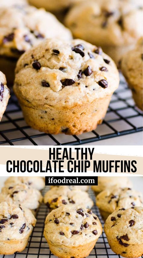 Healthy Chocolate Chip Muffins recipe made with whole wheat flour, no refined sugar and Greek yogurt are healthy bakery style muffins with lots of mini chocolate chips. Healthy Tasty Muffins, Healthy Dessert With Chocolate Chips, Chocolate Chip Muffins Easy Healthy, Chocolate Chip Muffins With Yogurt, Mini Chocolate Chip Muffins Healthy, Healthier Chocolate Chip Muffins, Muffins With Greek Yogurt Healthy, High Fiber Chocolate Chip Muffins, Greek Yogurt Chocolate Chip Muffins