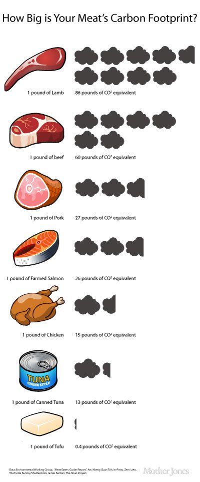 Vegan diets have the smallest carbon footprints! Nutrition Label, Environmentally Friendly Living, Nutrition Chart, Save Our Earth, Why Vegan, Vegan Nutrition, Zero Waste Living, Eco Living, Nutritional Yeast