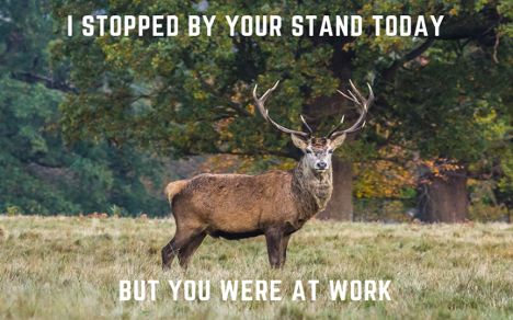 Laugh Out Loud With These Hilarious Hunting Memes of 2023 Deer Hunting Memes Humor, Funny Deer Hunting Quotes, Hunting Season Quotes, Deer Hunting Memes, Deer Hunting Quotes, Deer Meme, Hunting Meme, Funny Hunting Pics, Hunting Quotes Funny