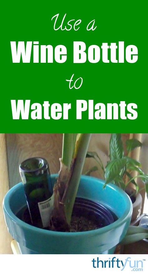 Plants In Bottles, Bucket Gardening, Making Water, Watering Plants, Empty Glass Bottles, Vegetable Garden Diy, Grow Plants, Bottle Garden, Outdoor Decorating