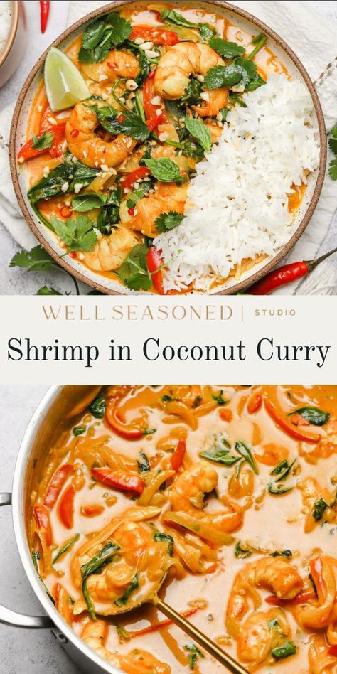 This easy weeknight Shrimp in Coconut Curry is surprisingly quick to make! It features a coconut milk and Thai red curry sauce that has robust flavor and lots of fresh aromatic herbs. The shrimp poach directly in the red curry sauce, infusing them with all that delicious flavor! Serve over Jasmine rice with cilantro, chopped peanuts, bird's eye chili, and lime wedges. GF, DF #wellseasonedstudio #shrimpcurry #coconutcurry #shrimp #thaicurry Curry Shrimp Pasta, Shrimp Thai, Shrimp With Coconut Sauce, Shrimp Rice Recipes For Dinner, Poached Prawns, Coconut Milk Shrimp, Coconut Shrimp Curry, Shrimp Curry Recipe Thai, Coconut Milk Shrimp Recipe