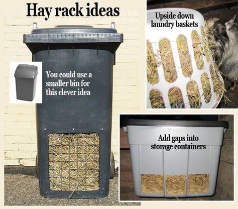 Use dollar store garbage bin (small) Horse Hay Feeder Ideas, Diy Hay Feeder For Goats, Goat Feeders Ideas Hay, Diy Goat Hay Feeder, Goat Pen Ideas, Diy Hay Feeder, Goat Hay Feeder, Goat Feeder, Goat Playground