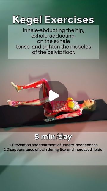 Squat Challenge on Instagram: "Kegel Exercises for Women ☘️ Pelvic Floor Muscles #short #kegelexercises #pelvichealth #kegel" Best Kegel Exercises For Women, Keggle Exercises, Kegel Exercise How To Do, Kegal Exercises For Women To Tighten, Kegal Exercises For Women, Kegel Exercises For Women, Pelvic Exercises, Kegal Exercises, Slim Fast Diet Plan