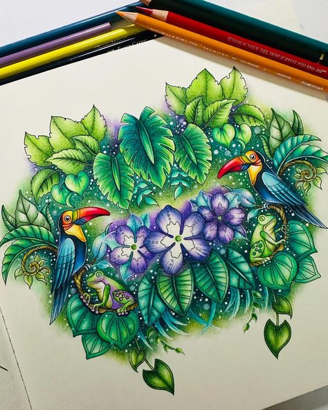 The toucan couple 🩷 📒Magical Jungle by Johanna Basford ✏️Prismacolor & Polychromos . . . . . #johannabasford #magicaljungle… | Instagram Magical Jungle, Johanna Basford Magical Jungle, Magical Jungle Johanna Basford, Joanna Basford Coloring, Joanna Basford, Prismacolor Art, Johanna Basford Coloring Book, My Fantasy World, Basford Coloring