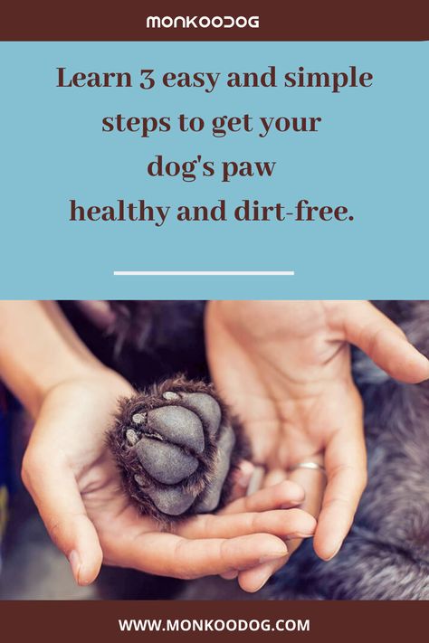 Dog Paw Cleaning Station, Dog Weight Chart, Paralyzed Dog, Dogs Paws, Cleaning Station, Dog Grooming Tips, Paw Cleaner, Dog Health Tips, Dog Weight