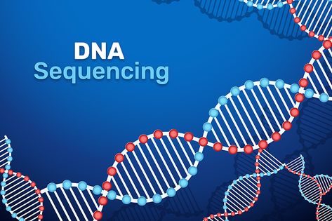 Did you know? DNA Sequencing plays and crucial role in your life and what are the benefits. DNA Sequencing gives knowledge about organism’s genetic sequence that can be used in a number of areas. Here we mentioned some of areas.   #basicdnastructure #dnasequencing #whereisdnafound Dna Sequencing, Eid Mubarak Status, Dna Sequence, Molecular Biology, Life Experience, Genetic, Eid Mubarak, Better Life, Biology