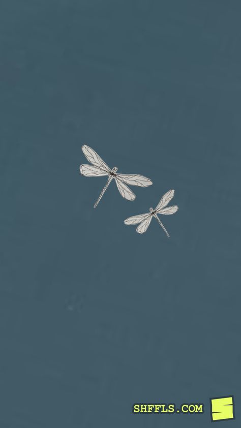 Dragonfly Astetic, Dragonfly Backgrounds Wallpapers, Dragonfly Wallpaper Aesthetic, Dragonfly Wallpaper Iphone, Dragonfly Backgrounds, Dragonfly Aesthetic, Dragonfly Wallpaper, Notion Aesthetic, Organization Board