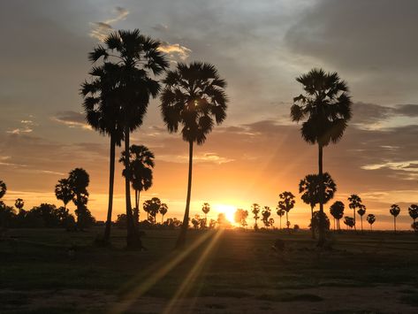 beautiful sunset in Cambodia Beautiful Sunset, Cambodia, Celestial Bodies, Quick Saves