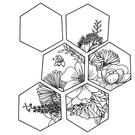 Drawing of 6 hexagons that have various flowers throughout them and a bee. Flowers With Geometric Shapes Tattoo, Geometric Shapes Tattoo Design, Flower Geometric Design, Hexagon Flower Tattoo, Hexagon Tattoo Design Geometric Art, Nature Outline Drawing, Geometric Flower Design, Hexagon Tattoo Sleeve, Geometric Flower Drawing