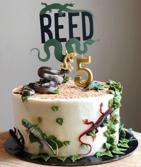 Lizard Cake Design Images (Lizard Birthday Cake Ideas) Lizard Birthday Party Ideas, Reptile Theme Cake, Reptile Party Cake, Lizard Cakes For Kids, Reptile Themed Birthday Cake, Reptiles Birthday Party Ideas, Lizard Birthday Cake Ideas, Lizard Themed Birthday Party, Lizard Party Ideas For Kids