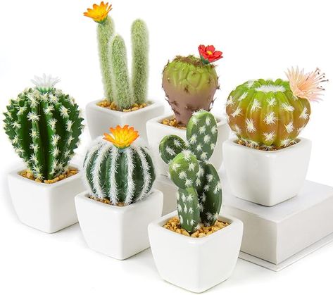 Amazon.com: Mini Artificial Cactus Plants in Ceramic Pots 6 Pcs Potted Faux Succulents in Pots Fake Potted Plants Cactus Decor Small Artificial Plants for Home Decor Indoor Office Desk Tabletop Shelf : Home & Kitchen Succulents In Pots, Fake Cactus, Plants For Home Decor, Fake Potted Plants, Tabletop Shelf, Artificial Cactus, Faux Cactus, Cactus Plant Pots, Plants For Home