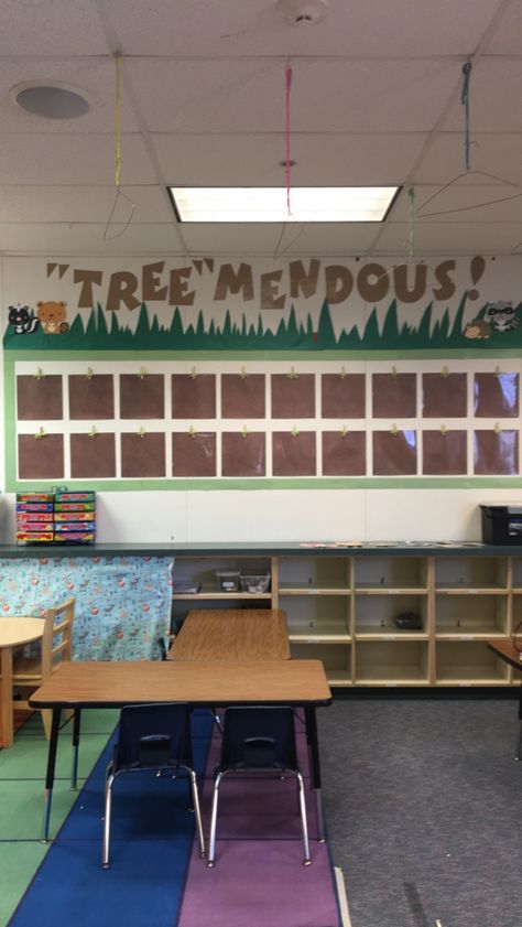 Forest Classroom Door Ideas, Cabin Theme Classroom, Outdoor Classroom Theme Ideas, Wood Theme Classroom Decor, Woodland Birthday Bulletin Board, Classroom Woodland Theme, Classroom Decor Nature Theme, Kindergarten Classroom Forest Theme, Outdoors Theme Classroom