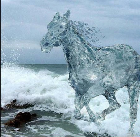 Water Horse Unbelievable Pictures, Horse Water, Water Art, Disney Aesthetic, Arte Fantasy, Camp Half Blood, 영감을 주는 캐릭터, Magical Creatures, Horse Art