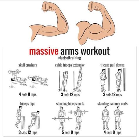 massive arms workout for men Arms Workout For Men, Rep Ranges, Arm Workout Men, 50 Cal, Arms Workout, Arm Workouts, Workout Plan For Women, Aerobics Workout, Workout Chart