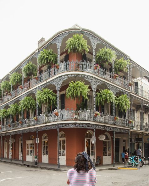 22 Things to Do in the Historical French Quarter of New Orleans | There She Goes Again Places Reference, Nola Architecture, Panning Shot, French Quarter New Orleans, Rich Rich, City Ideas, Louisiana Travel, Sims Builds, Visit New Orleans