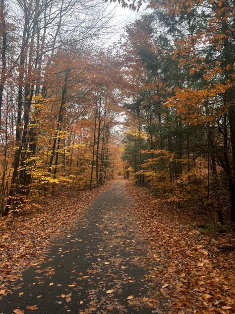 Nature, Rainy Fall Pictures, Rainy Fall Weather, Rainy Day Astethic, Rainy Autumn Aesthetic, Fall Weather Aesthetic, Rainy Fall Aesthetic, Fall Rainy Day, Rainy Autumn Day