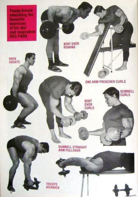 Big Arms! Arnold Workout Plan, Arnold Training, Arnold Schwarzenegger Gym, Arnold Workout, Back Workout Bodybuilding, Arnold Bodybuilding, Old Bodybuilder, Arnold Schwarzenegger Bodybuilding, Schwarzenegger Bodybuilding