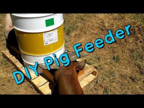 DIY Pig Feeder, Part 3 of 3 - YouTube Automatic Pig Feeders Diy Ideas, Diy Hog Feeder, Pig Feeders Diy Ideas, Diy Pig Feeder, Automatic Pig Feeder, Hog Feeder, Pig Feeder, Homesteading Diy, Automatic Feeder