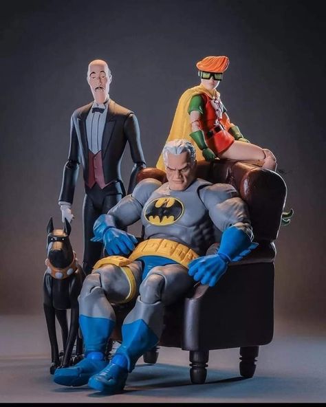 Batman History, Iron Batman, Batman Tv Show, Dc Action Figures, Dc Figures, Batman Batmobile, Batman Pictures, Batman Action Figures, Batman Figures