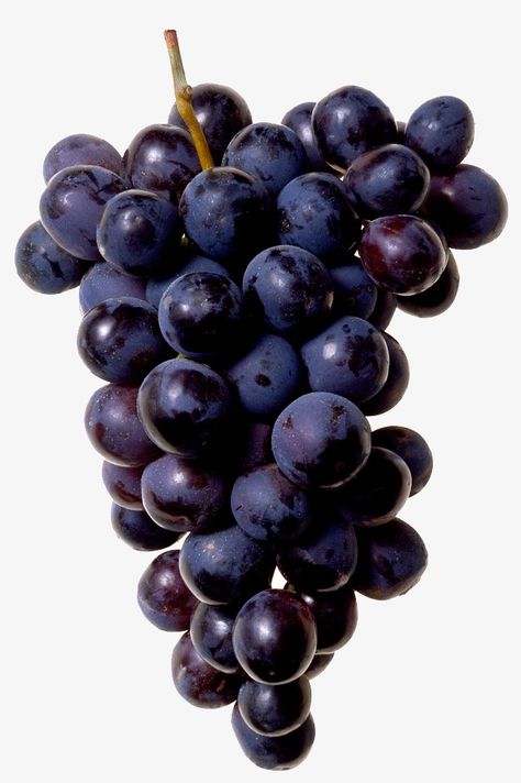 Good Brain Food, Black Grapes, Anti Aging Food, Grape Bunch, Anti Aging Tips, Clean Eating Diet, Look Younger, Brain Health, Food Styling