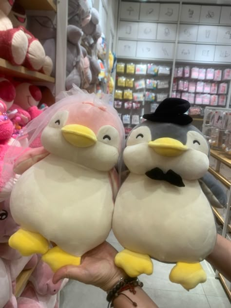 Couple Plushies, Penguin From Miniso, Miniso Penguin, Miniso Plush, Miniso Penguin Cartoon, Miniso Plushies, Miniso Stuff Toys, Miniso Plushies Penguin, Penguin Plush Aesthetic