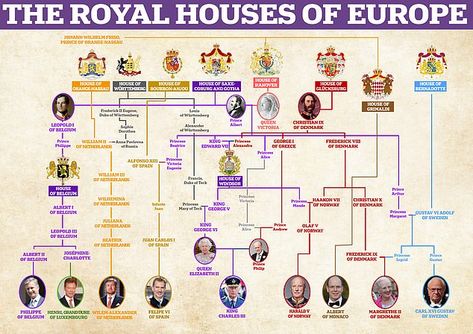 Royal Family Tree, Spanish King, Royal Houses, Prince Of Orange, Royal Families Of Europe, Royal Family Trees, Queen Margrethe Ii, Princess Stephanie, Princess Charlene