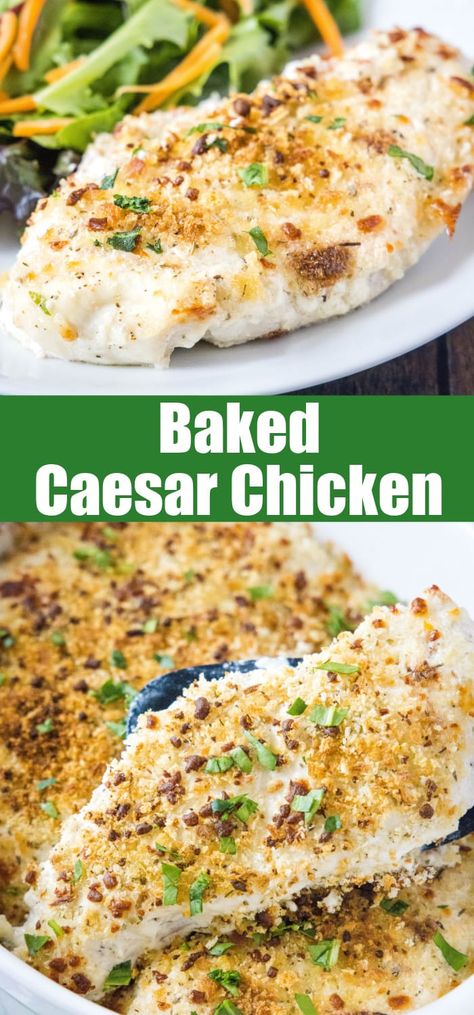 Looking for a new easy and flavorful chicken recipe? Try our Baked Caesar Chicken! Tender chicken breasts coated in a creamy Caesar dressing and baked to perfection. Chicken Caesar Bake, Caesar Chicken Baked, Caesar Dressing Chicken, Chicken Ceaser, Baked Caesar Chicken, Chicken Breast Pasta, Creamy Caesar Dressing, Caesar Chicken, Classic Caesar Salad