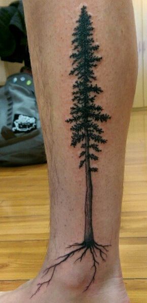 good tree reference / good roots Cedar Tattoo, Tree Tattoo Calf, Tree Tatoos, Redwood Tree Tattoo, Colorado Tattoos, Tattoo Trees, Tree Reference, Redwood Tattoo, Hanna Tattoo