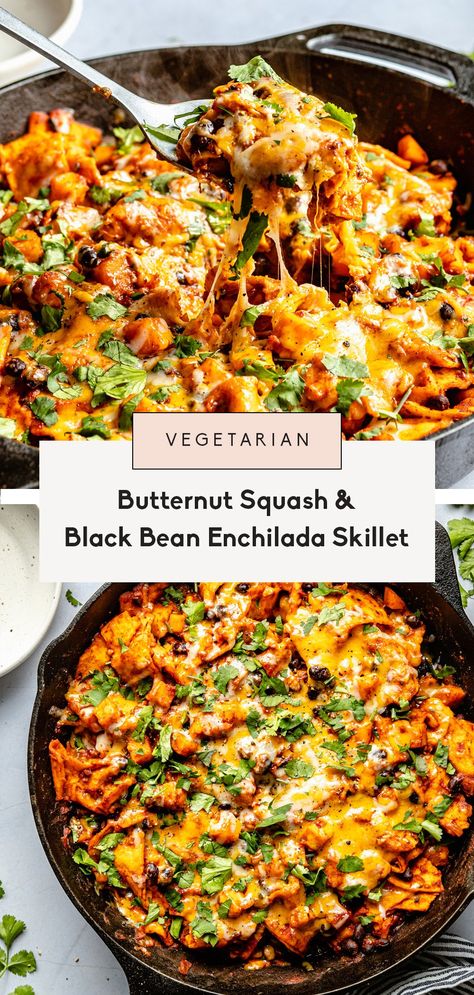 Vegetarian Recipes For College Students, Filling Veggie Meals, Vegetable Rich Meals, Meatless Protein Meals, Quick And Easy Vegetarian Dinner Recipes, Wfpb Meal Prep, Quick Easy Vegetarian Dinner, No Meat Dinners, Gourmet Vegetarian Recipes