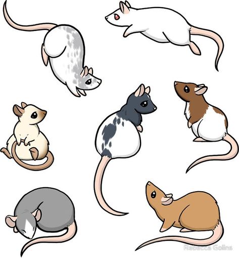 Who doesn't love a cute rat? Cute Rats Drawing, Rat Drawn Cute, Rebecca Golins, Cute Rat Drawings, Rat Cute, Cartoon Rat, Rat Art, Creation Art, Cute Rats